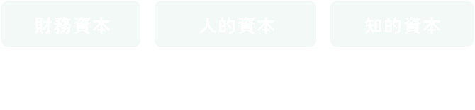 財務資本 人的資本 知的資本 グローバルネットワーク資本 ブランド資本 組織・グループ資本 ビジネスリレーション資本